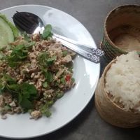 La(r)b Tofu And Mushroom at Same Same Restaurant and Guesthouse in Luang Prabang