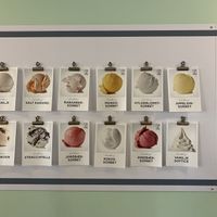 Sorbet flavours such as rhubarb, elderflower, mango, orange, raspberry and strawberry.   at Fru Frost Blåvand in Blaavand