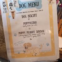 🐕 at Amante & Co Coffee in Fremantle