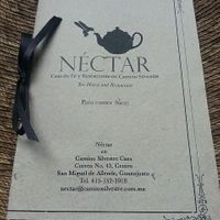  at Néctar en Camino Silvestre in San Miguel De Allende