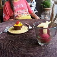 Lovely little desserts 💜 cupcake and ice cream at Néctar en Camino Silvestre in San Miguel De Allende