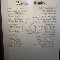   at The Wayward Vegan in Seattle