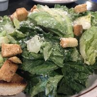 Ceasar at The Wayward Cafe in Seattle