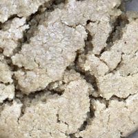 Peanut butter gluten free vegan cookie at MJ's Cafe in Baton Rouge
