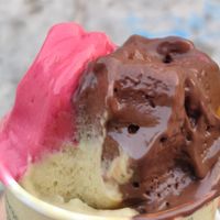 Raspberry, vegan chocolate and vegan pistachio at Rivareno Gelato Paris Huchette in Paris