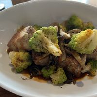 Tofu bowl  at Engrained in Tempe