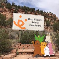   at Angel Village Cafe in Kanab