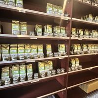   at Zenhouse in West Hindmarsh