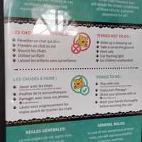  at Happy Cat Cafe - Chat l'heureux in Montreal