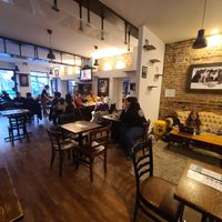 A cozy atmosphere at Happy Cat Cafe - Chat l'heureux in Montreal