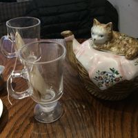 Tea time  at Happy Cat Cafe - Chat l'heureux in Montreal