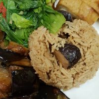 Mushroom rice at IBAA Chatswood - Fo Guang Yuan in Chatswood