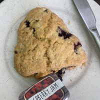 Blueberry Scone   at Blended Brew in Inverness