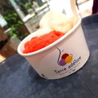 Sorbet at Theias in Avignon