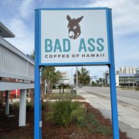 Place  at Bad Ass Coffee of Hawaii in Orange Beach