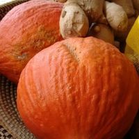 fresh fresh fresh  at Good Food in Edinburgh