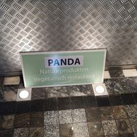 Inside at De Panda in Ghent