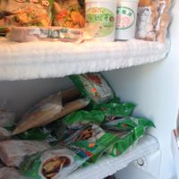 one of the four/five freezers stocked full of vegan goodies at Homey Food & Cafe in Calgary