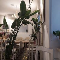  at MyRaw Cafe in Prague