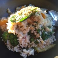Bland risotto  at The Golden Vine in Bendigo