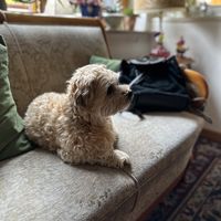 Beste Plätze  at Kruemelkueche in Duisburg