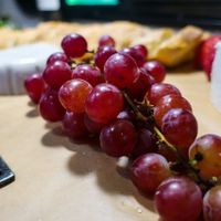 Cranberry goat and Camembert at Vromage Dairy-Free Cheese Shop in West Hollywood