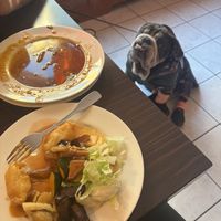   at Vegegården in Malmo