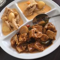 Sojastrimlor i massaman & Stekt tofu med grönsaker at Vegegården in Malmo