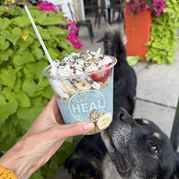 Blue Magic Superfood Bowl on the dog friendly patio!  at HEAL Wellness - Burlington in Burlington