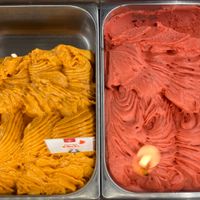 vegan gelato at Gelatiamo  in Seattle