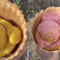 Helados mango-chocolate y fresa-mango at The Bio Factory in A Coruna