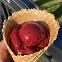 Helado Vegano at The Bio Factory in A Coruna