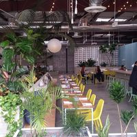 inside The Springs at The Springs in Los Angeles