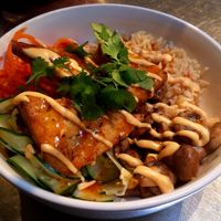 Special at The Dancing Dog in Urbana