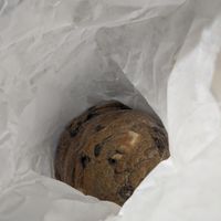 s'mores cookies   at The Dancing Dog in Urbana
