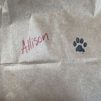 Carry out! at The Dancing Dog in Urbana