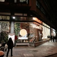 nicely lit up at Organic's in Barcelona