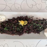  at Cor Verd in Igualada