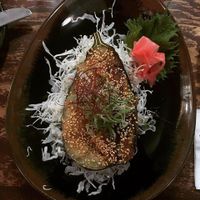 Miso-glazed eggplant (highly recommend!) at Yatai Japanese Izakaya in Palmerston North