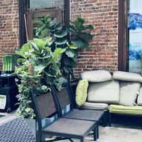   at Green Cup Cafe in Fort Myers