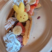Easter waffle special 🐰 at Green Cup Cafe in Fort Myers