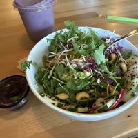   at Green Cup Cafe in Fort Myers