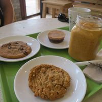 Delicious and SOFT chocolate chip cookie, peanut butter cookie, and pumpkin spice smoothie (which literally tasted like pumpkin pie in a glass) at Green Cup Cafe in Fort Myers