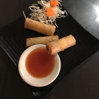 Vegan spring rolls at Kati Thai Cuisine in Gadsden