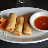Veggie Spring Rolls, rolled in-house at Kati Thai Cuisine in Gadsden