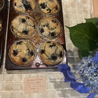 blueberry coconut muffinns  at Smoothie etc. in Kyoto