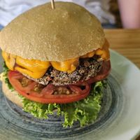  at kVegan in Tenerife