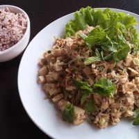 The larb with steamed rice...huge portion and super tasty!  at Lai's Place in Luang Namtha