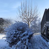  at Campo di Cielo in Cesiomaggiore