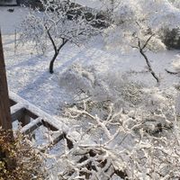  at Campo di Cielo in Cesiomaggiore